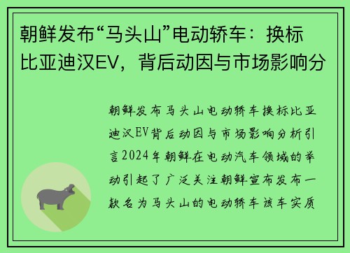 朝鲜发布“马头山”电动轿车：换标比亚迪汉EV，背后动因与市场影响分析