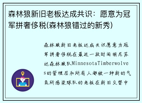 森林狼新旧老板达成共识：愿意为冠军拼奢侈税(森林狼错过的新秀)